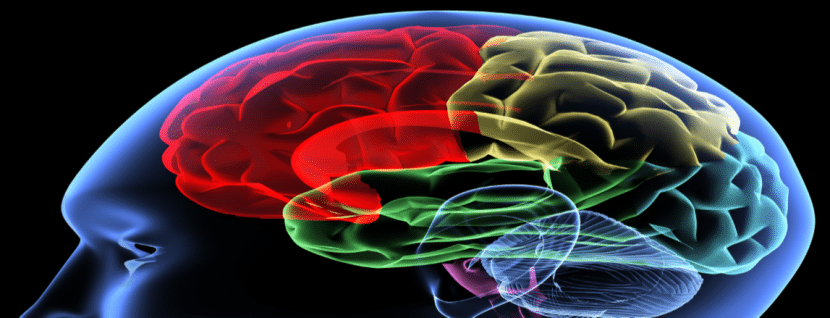 img src="Brain-matter-small.png" alt="This is a colorful drawing of areas of the as learning happens."