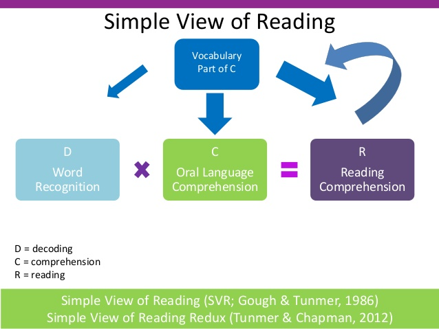 More about the Science of Reading - SoundEnglish