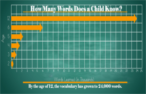 Vocabulary grows rapidly in children.