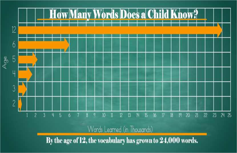 alt="bar graph of how many words a child knows from age 2 to 12"