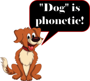 - SoundEnglish Cartoon brown dog with a red collar and a speech bubble that says:'"Dog" is phonetic!'